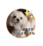 可愛い胡音ちゃん（個別スタンプ：16）