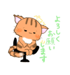 メスにゃん子ちゃん（個別スタンプ：3）