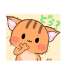 メスにゃん子ちゃん（個別スタンプ：5）
