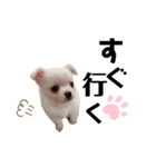 ましゅです♡（個別スタンプ：4）