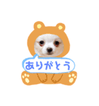 ましゅです♡（個別スタンプ：5）