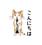 猫の音楽隊（個別スタンプ：21）