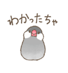 富山弁の文鳥2（個別スタンプ：4）