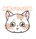 まだら猫（個別スタンプ：7）