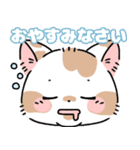 まだら猫（個別スタンプ：12）