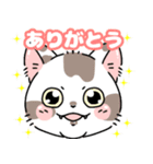 まだら猫（個別スタンプ：24）