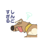 駄犬の日々（個別スタンプ：9）