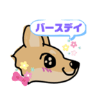 お祝いわんこコロ（個別スタンプ：3）