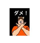 笑顔の妖精ミッチーさん（個別スタンプ：15）