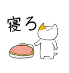 辛辣なセリフを吐きたい猫（個別スタンプ：17）