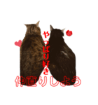 チビちゃんとチンチン丸の日常あるある（個別スタンプ：7）