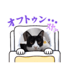 グリコとハチコ（個別スタンプ：5）