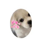 GOGOぱるむ（個別スタンプ：5）
