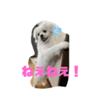 GOGOぱるむ（個別スタンプ：6）