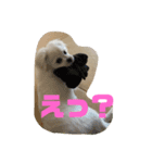 GOGOぱるむ（個別スタンプ：8）