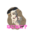 GOGOぱるむ（個別スタンプ：9）