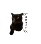 うちの黒猫の福ちゃん(日常会話)（個別スタンプ：5）