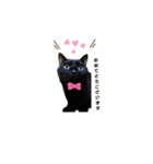 うちの黒猫の福ちゃん(日常会話)（個別スタンプ：8）