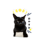 うちの黒猫の福ちゃん(日常会話)（個別スタンプ：10）