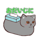 猫たちに春が来た！（個別スタンプ：18）