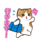 猫たちに春が来た！（個別スタンプ：35）