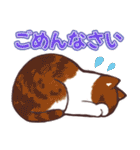 猫たちに春が来た！（個別スタンプ：37）