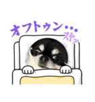 かい。23.1ページ。（個別スタンプ：14）