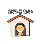 困りまゆ柴犬（個別スタンプ：20）