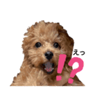 俺、れお。（オレオ）①（個別スタンプ：1）