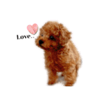俺、れお。（オレオ）①（個別スタンプ：4）