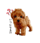俺、れお。（オレオ）①（個別スタンプ：5）