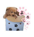俺、れお。（オレオ）①（個別スタンプ：7）