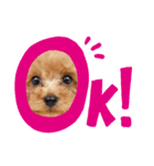 俺、れお。（オレオ）①（個別スタンプ：10）
