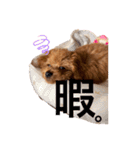 俺、れお。（オレオ）①（個別スタンプ：14）