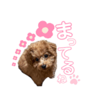 俺、れお。（オレオ）①（個別スタンプ：15）