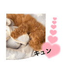俺、れお。（オレオ）①（個別スタンプ：16）