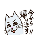 しろねこみかん (日常活躍 ver.)（個別スタンプ：8）