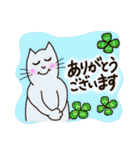 しろねこみかん (日常活躍 ver.)（個別スタンプ：19）