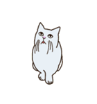 しろねこみかん (日常活躍 ver.)（個別スタンプ：24）