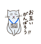 しろねこみかん (日常活躍 ver.)（個別スタンプ：29）