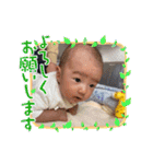 かしわまる5（個別スタンプ：8）