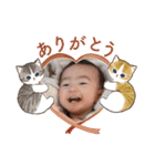 かしわまる5（個別スタンプ：22）