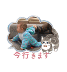 かしわまる5（個別スタンプ：27）