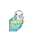 インコ「ルル」6（個別スタンプ：9）