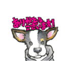 【保護犬と保護猫】使える！敬語＆ゆるめ（個別スタンプ：1）