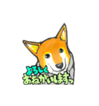 【保護犬と保護猫】使える！敬語＆ゆるめ（個別スタンプ：2）