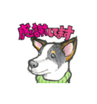 【保護犬と保護猫】使える！敬語＆ゆるめ（個別スタンプ：3）