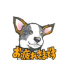 【保護犬と保護猫】使える！敬語＆ゆるめ（個別スタンプ：5）