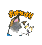 【保護犬と保護猫】使える！敬語＆ゆるめ（個別スタンプ：13）