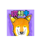 【保護犬と保護猫】使える！敬語＆ゆるめ（個別スタンプ：20）